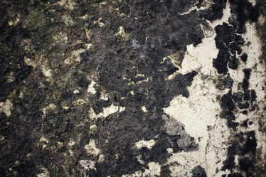 Similar image 8729953