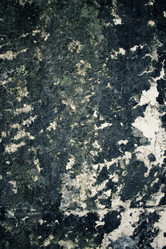 Similar image 8729954