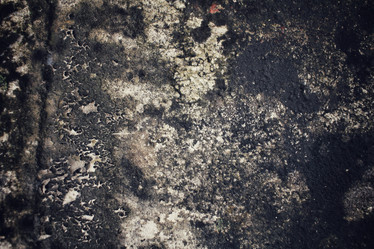 Similar image 8729955