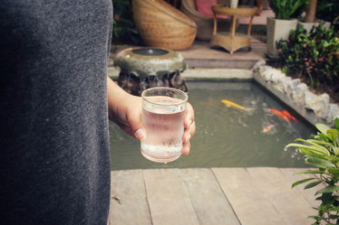 Similar image 8730033