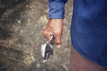 Similar image 8730205