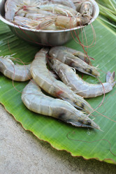 Similar image 8730446