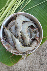 Similar image 8730447