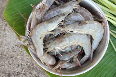 Similar image 8730448