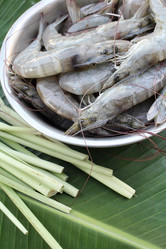 Similar image 8730449