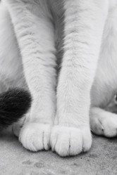 Similar image 8730474