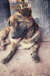 Similar image 8730545