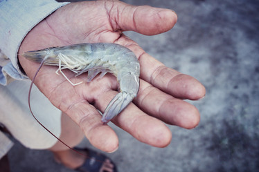 Similar image 8730597