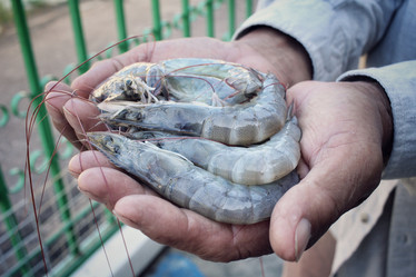 Similar image 8730599