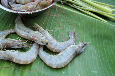 Similar image 8730610