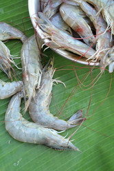 Similar image 8730614