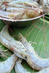 Similar image 8730626