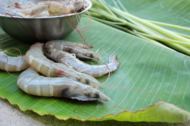 Similar image 8730629