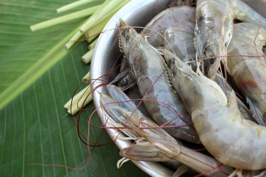 Similar image 8730632