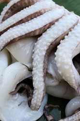 Similar image 8730634