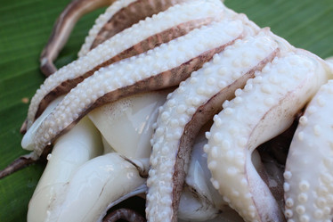 Similar image 8730638