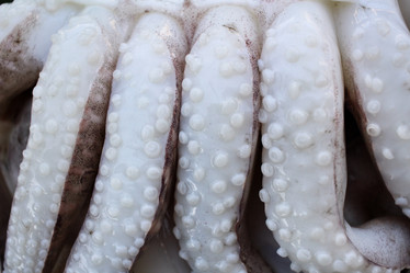 Similar image 8730641