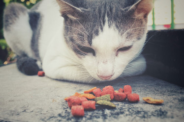 Similar image 8730645