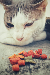 Similar image 8730648