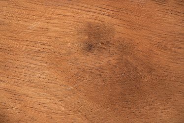 Similar image 8730673