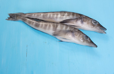 Similar image 8730738