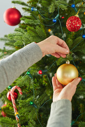 Similar image 8731513