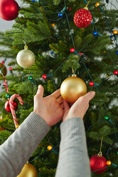 Similar image 8731662