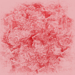 Similar image 8737554