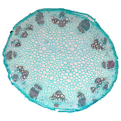 Similar image 8738118