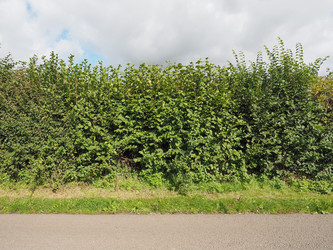 Similar image 8738621