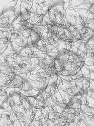 Similar image 8738989