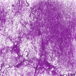 Similar image 8738993