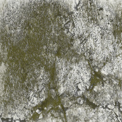 Similar image 8739042