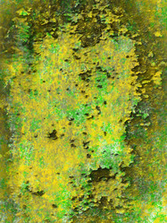 Similar image 8739049