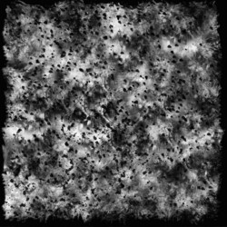 Similar image 8739641