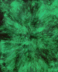 Similar image 8739653