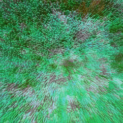 Similar image 8739662