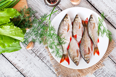 Similar image 8740435