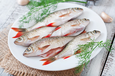 Similar image 8740437