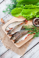 Similar image 8740446