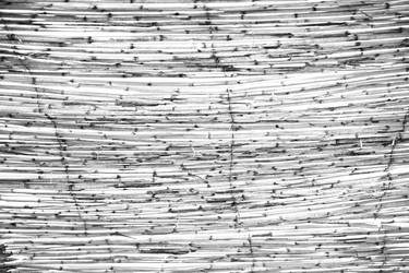 Similar image 8740855