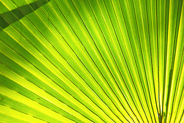 Similar image 8740882