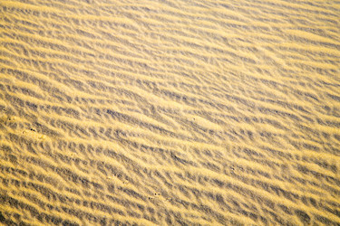 Similar image 8741047