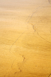 Similar image 8741237