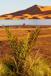 Similar image 8742146