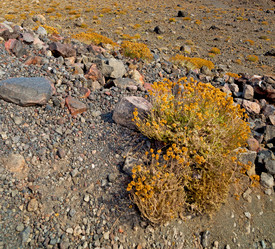 Similar image 8744164