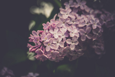 Similar image 8744413