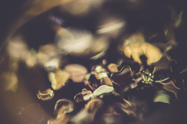 Similar image 8744948