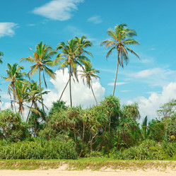 Similar image 8746026