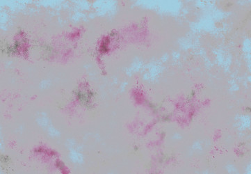 Similar image 8746208